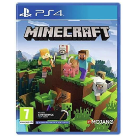 PS4 MineCraft R2 Game 