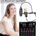 V8 Condenser Microphone - Image 3