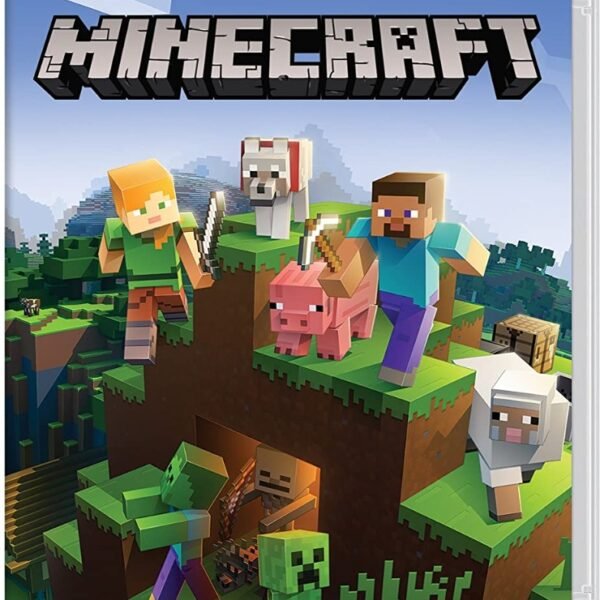 Nintendo Switch Ninecraft